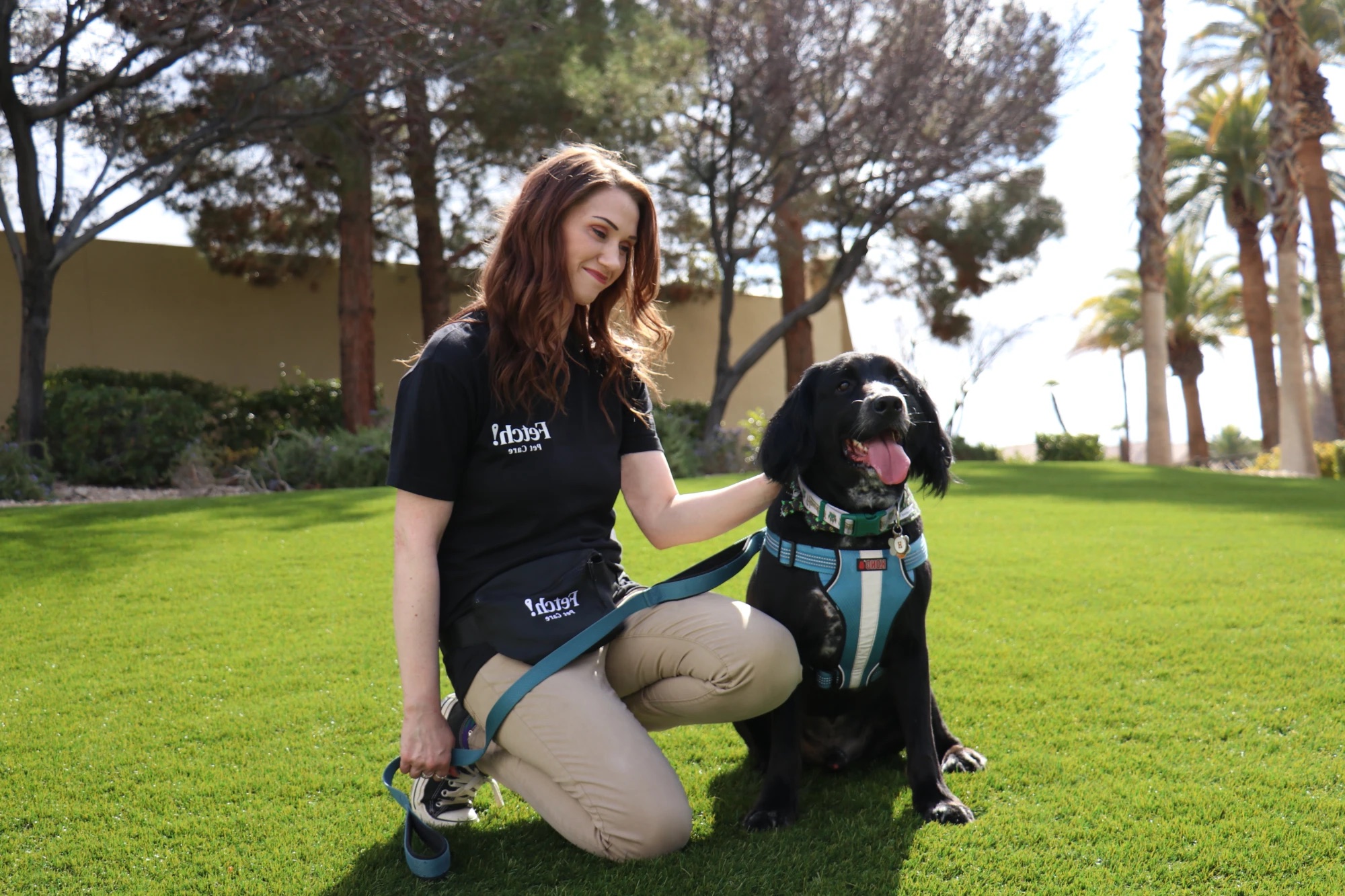 A Fetch! sitter kneeling on the grass beside a happy black dog in a blue harness