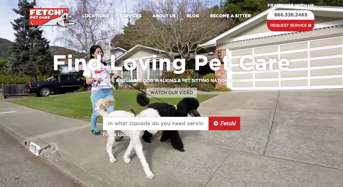 Introducing The NEW Fetch Pet Care Website Fetch Pet Care