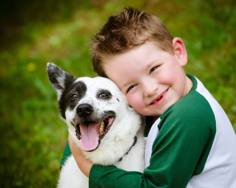 will a dog help my childs anxiety