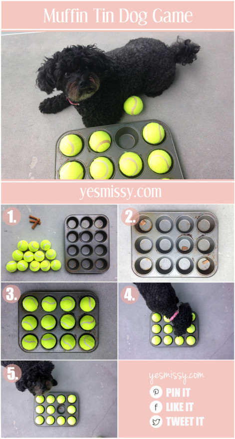 25 Frugally Fun DIY Dog Toys To Pamper Your Pooch