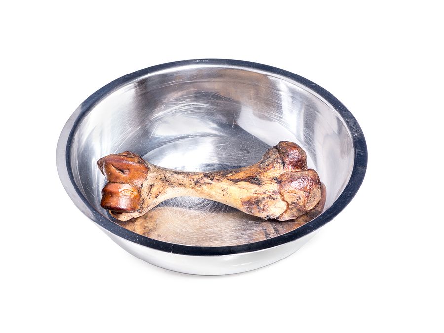 Are lamb bones safe for dogs