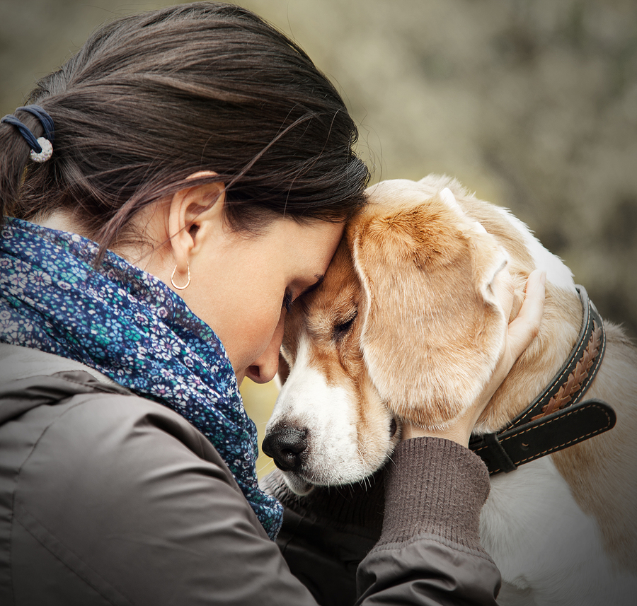 https://www.fetchpetcare.com/wp-content/uploads/2017/01/bigstock-Woman-With-Her-Dog-Tender-Scen-89621747.jpg