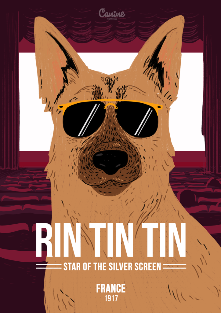 5-Rin Tin Tin