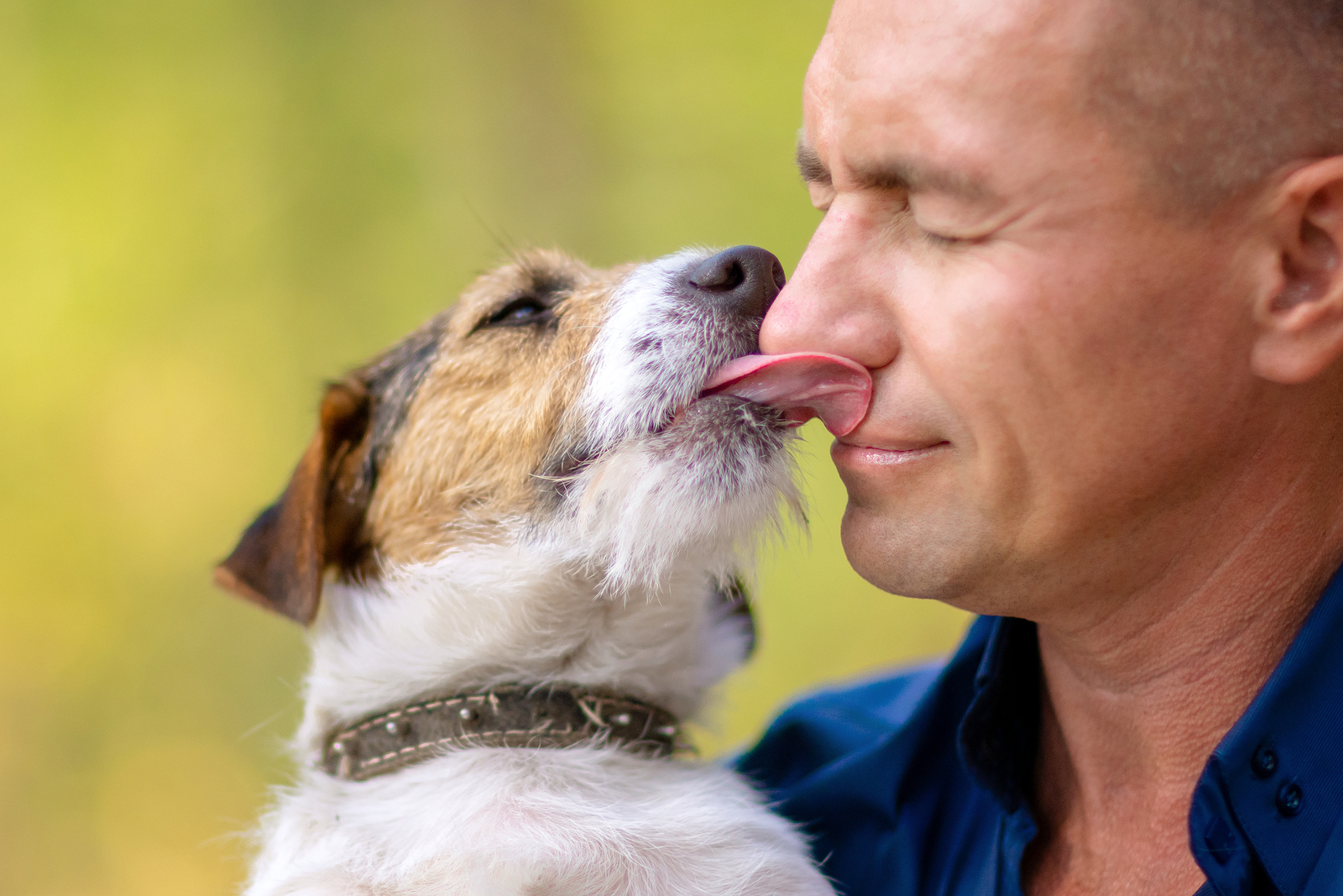 why do dogs kiss on the lips