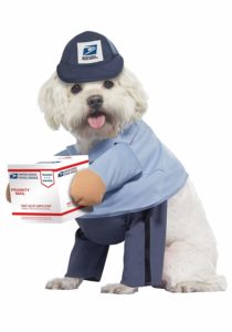 Postal Worker Pet Costume