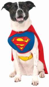 Super Hero Pet Costume