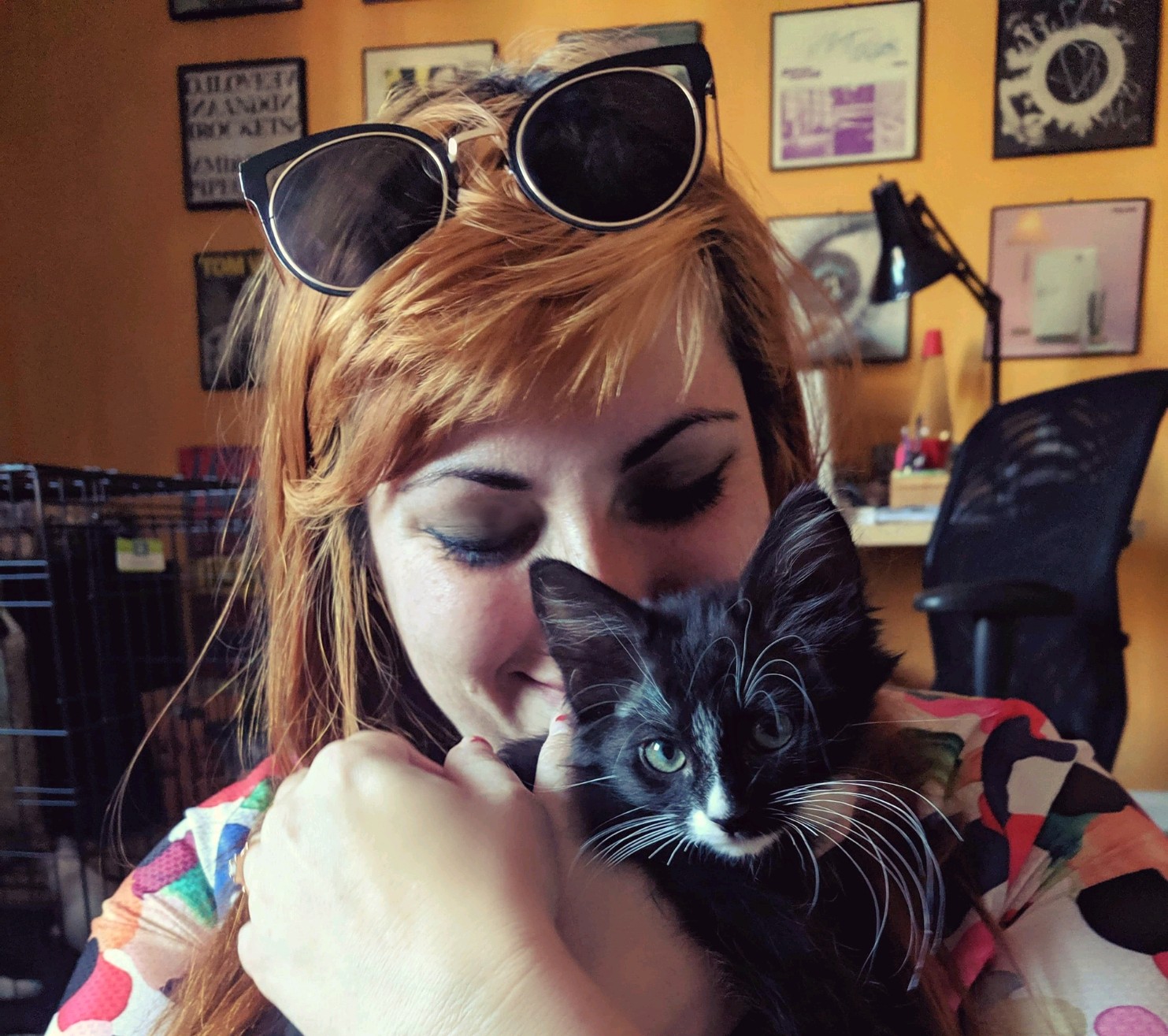 Professional Cat Sitter North Hollywood, CA