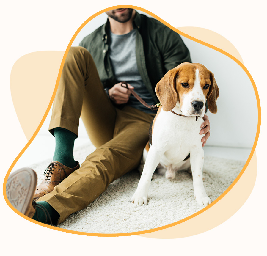 Person sitting with a beagle