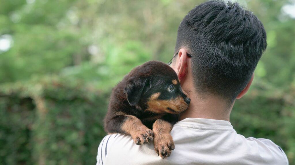 Person holding a puppy