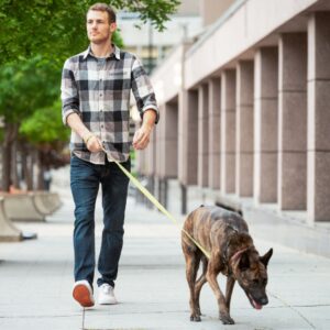 Person walking a dog