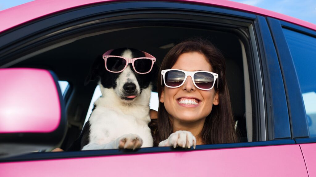 dog an owner wearing sunglasses in car