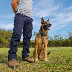 dog trainer standing with well-behaved dog