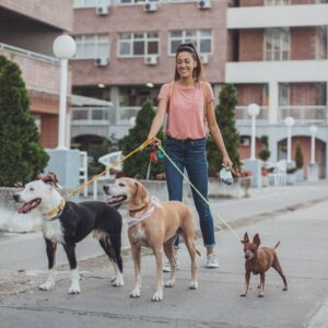 a woman taking three dogs for a walk