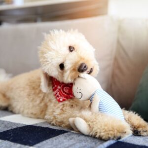puppy chewing on a stuffed toy