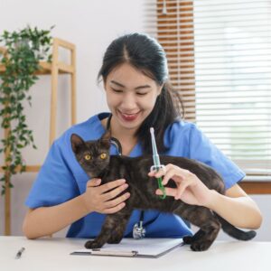 a Pet Medical Administration giving a kitten a shot