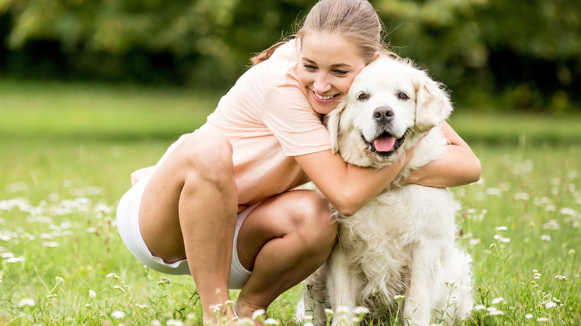 Puppy clearance overnight care