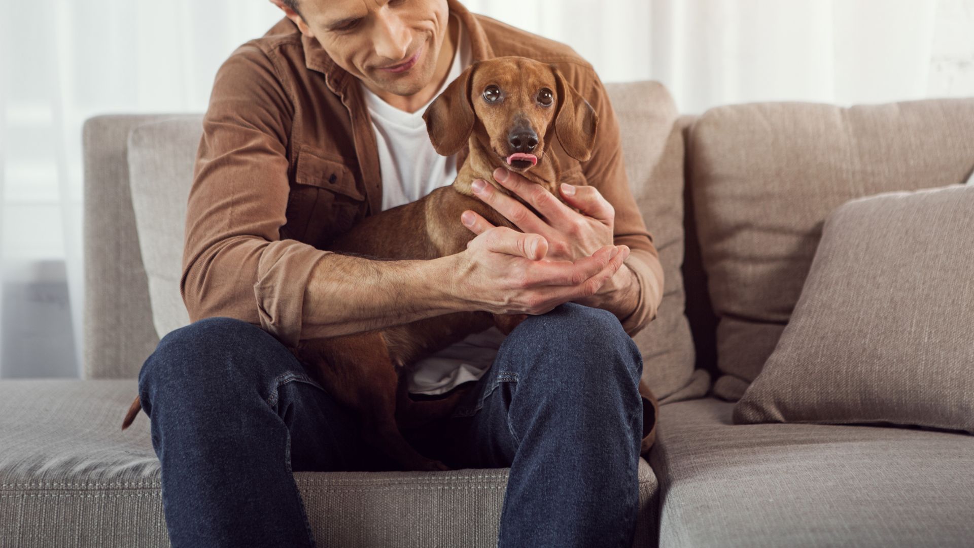 Puppy Sitting in Alpharetta, GA - Fetch! Pet Care