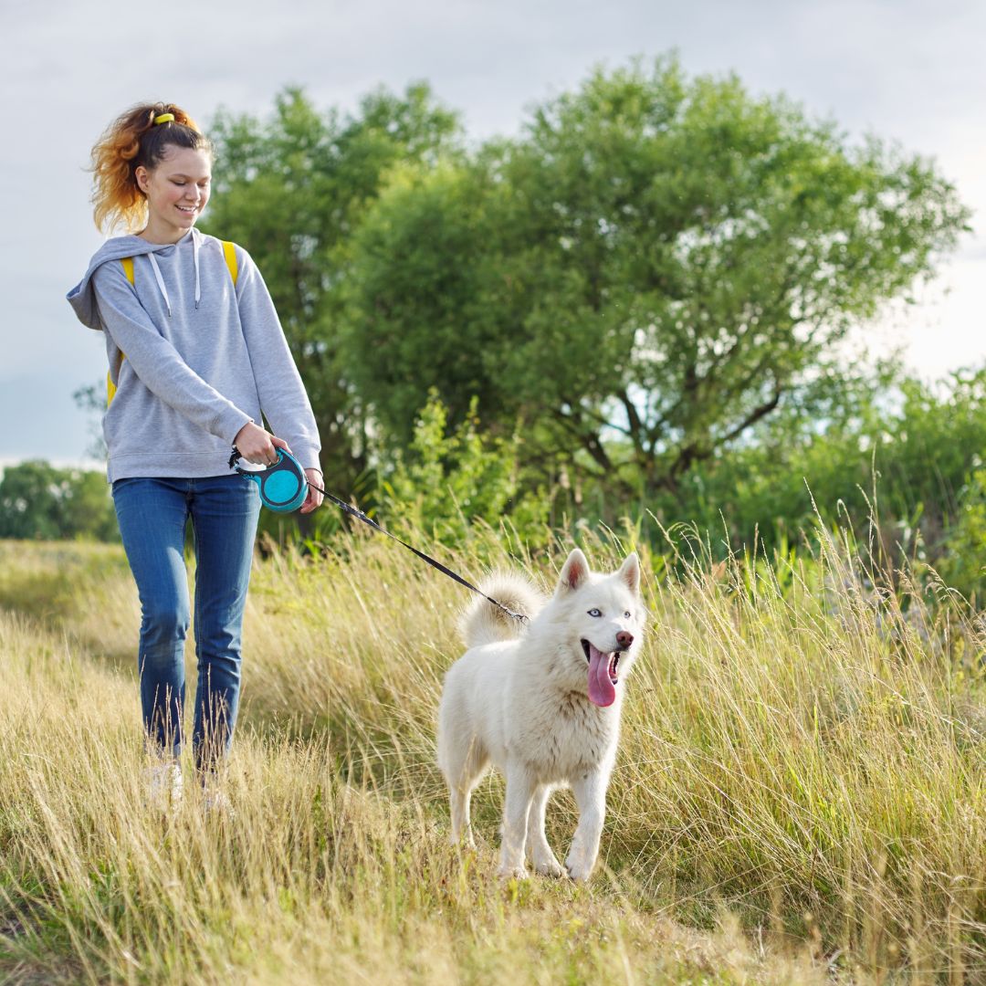 Dog Walking Services in Alexandria Unleash Happiness with Fetch! Pet Care
