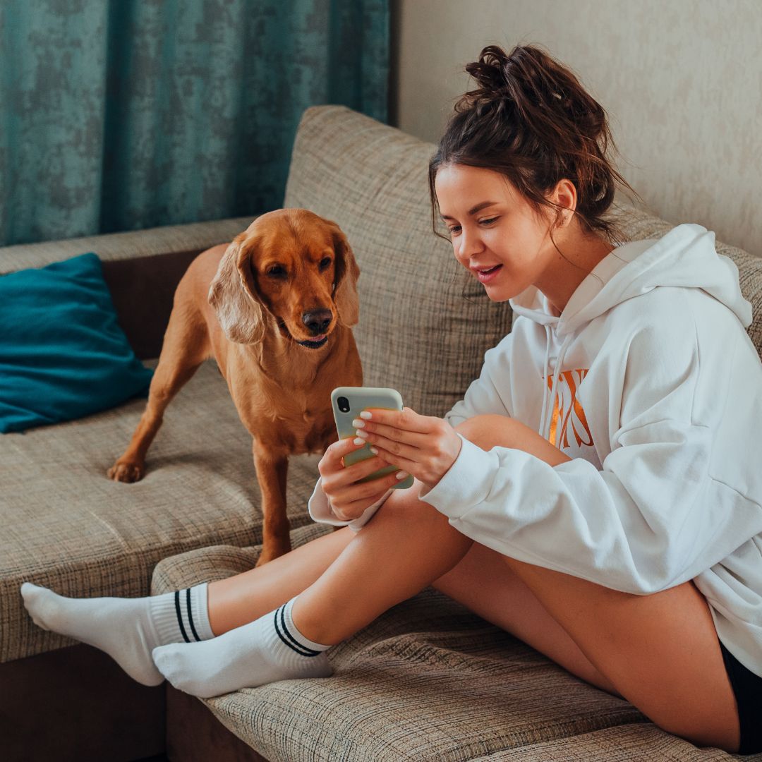 person sitting on couch showing dog cellphone screen