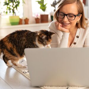 person on laptop playing with cat
