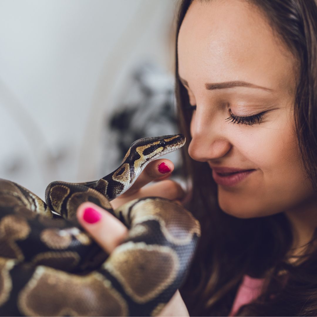 person holding pet snake