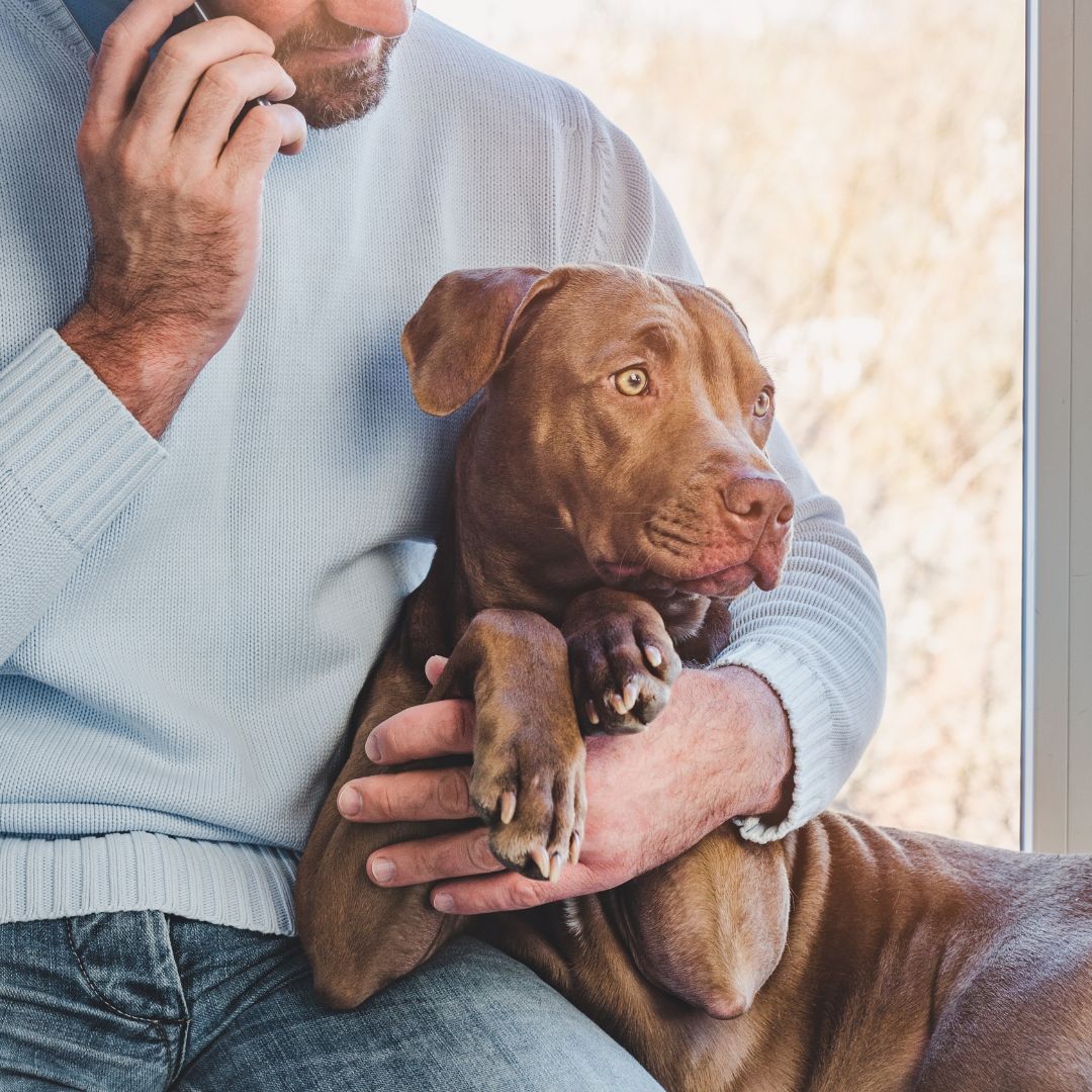 person holding dog while making phone call