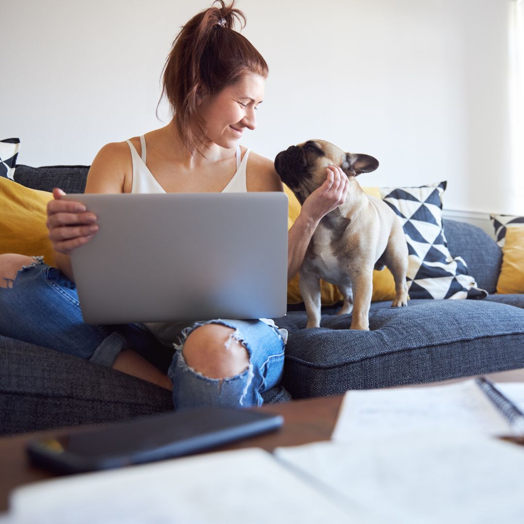 Person sitting on a couch with a dog while using a laptop