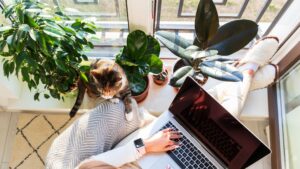 Person using a laptop with a cat nearby