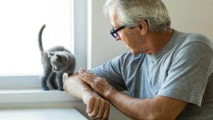 Person watching a kitten