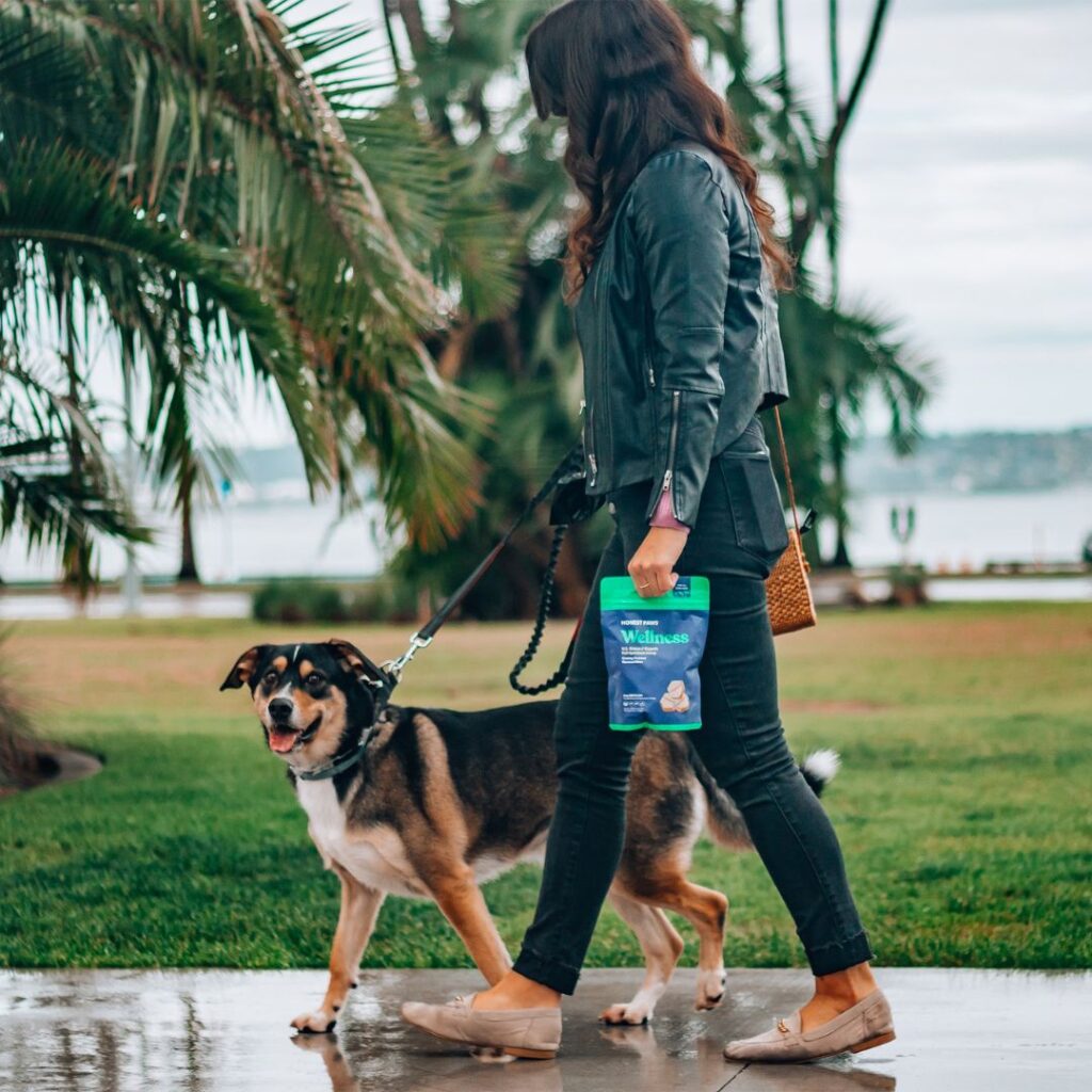 PetSitting and DogWalking Services in Naples Fetch! Pet Care