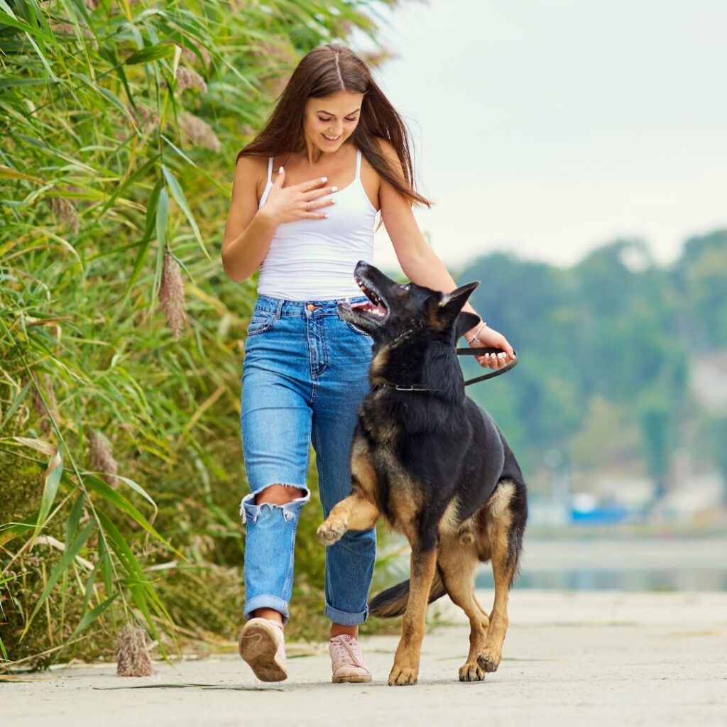 Find the Best InHome Pet Sitter with Fetch! Pet Care