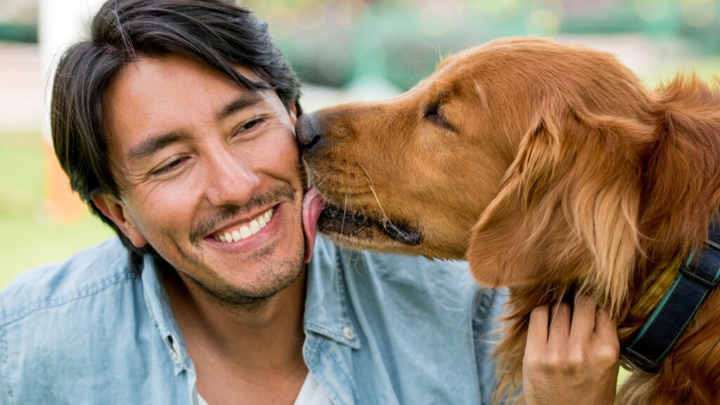 Smiling person being licked by a dog