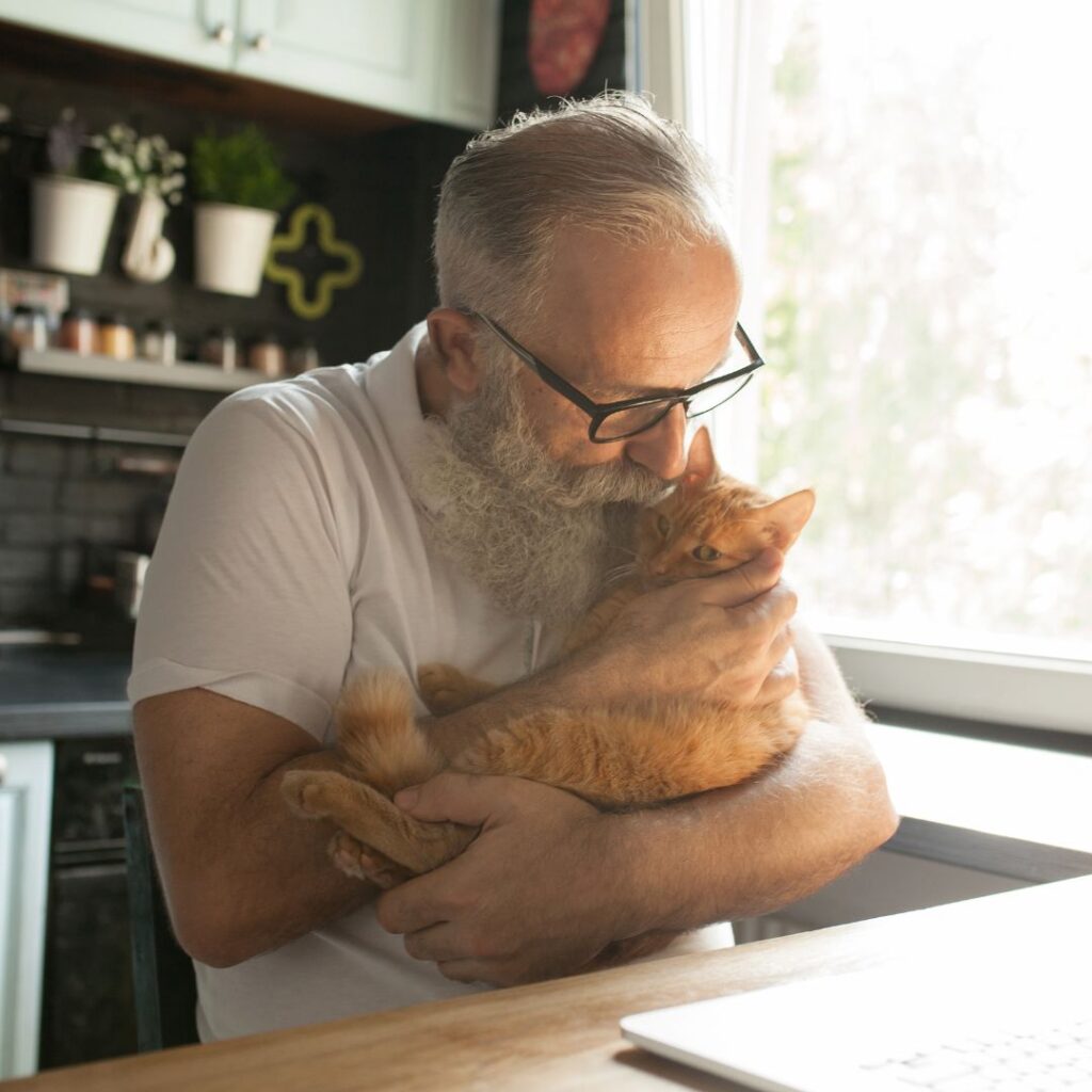 The Best Pet Sitting Services in Palm Springs & Palm Desert