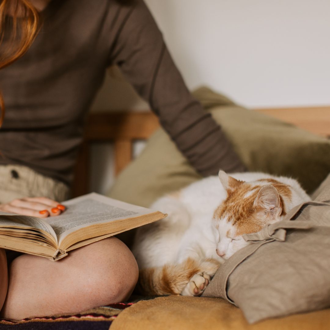 Tips for Choosing the Right Pet Sitter in Fort Worth 4