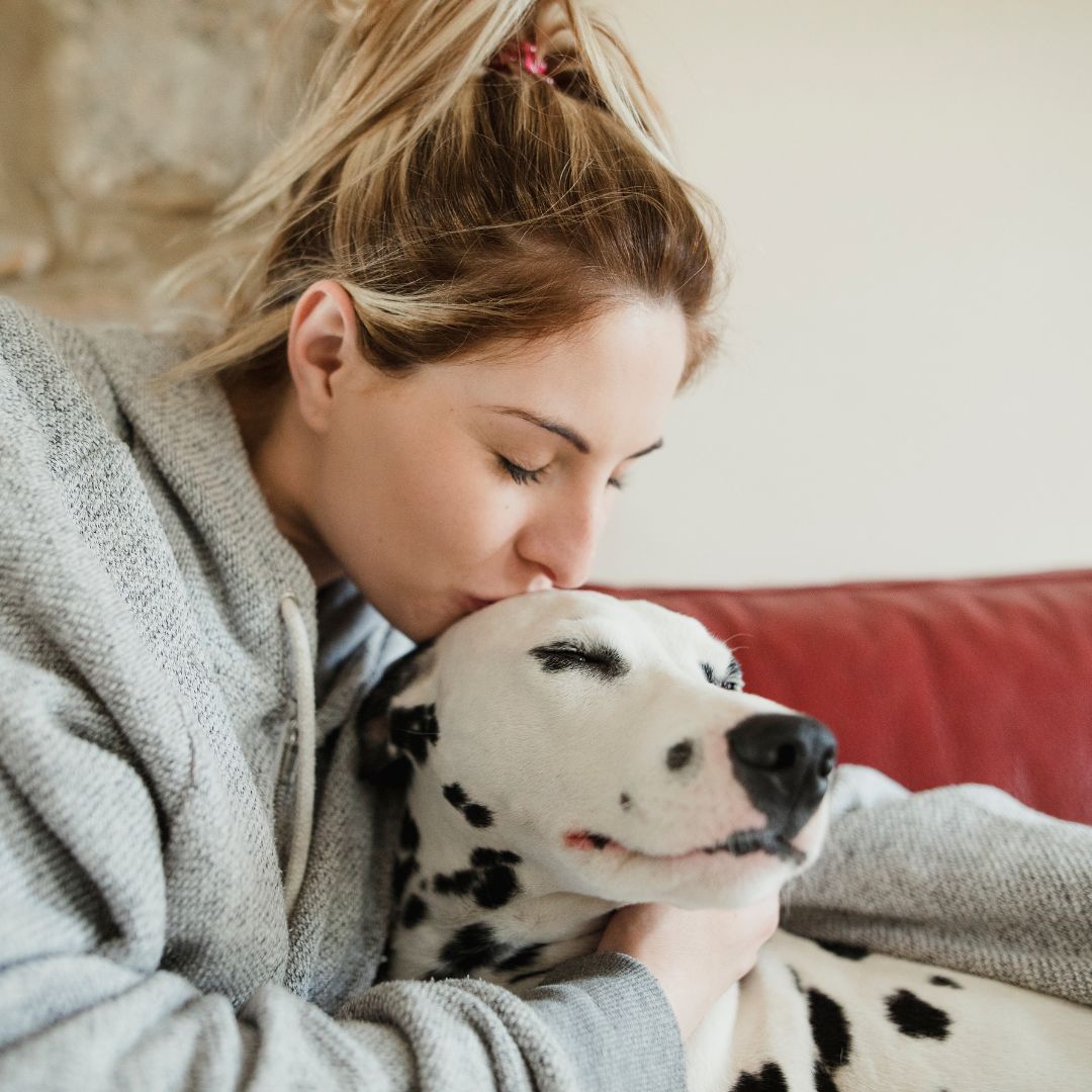 Tips for Choosing the Right Pet Sitter in Greater Milwaukee 1