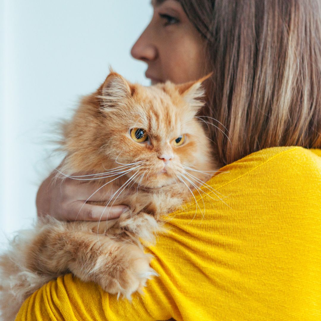 Tips for Choosing the Right Pet Sitter in Greater Milwaukee 2