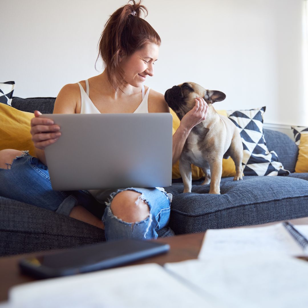 Tips for Choosing the Right Pet Sitter in Loudoun County 1