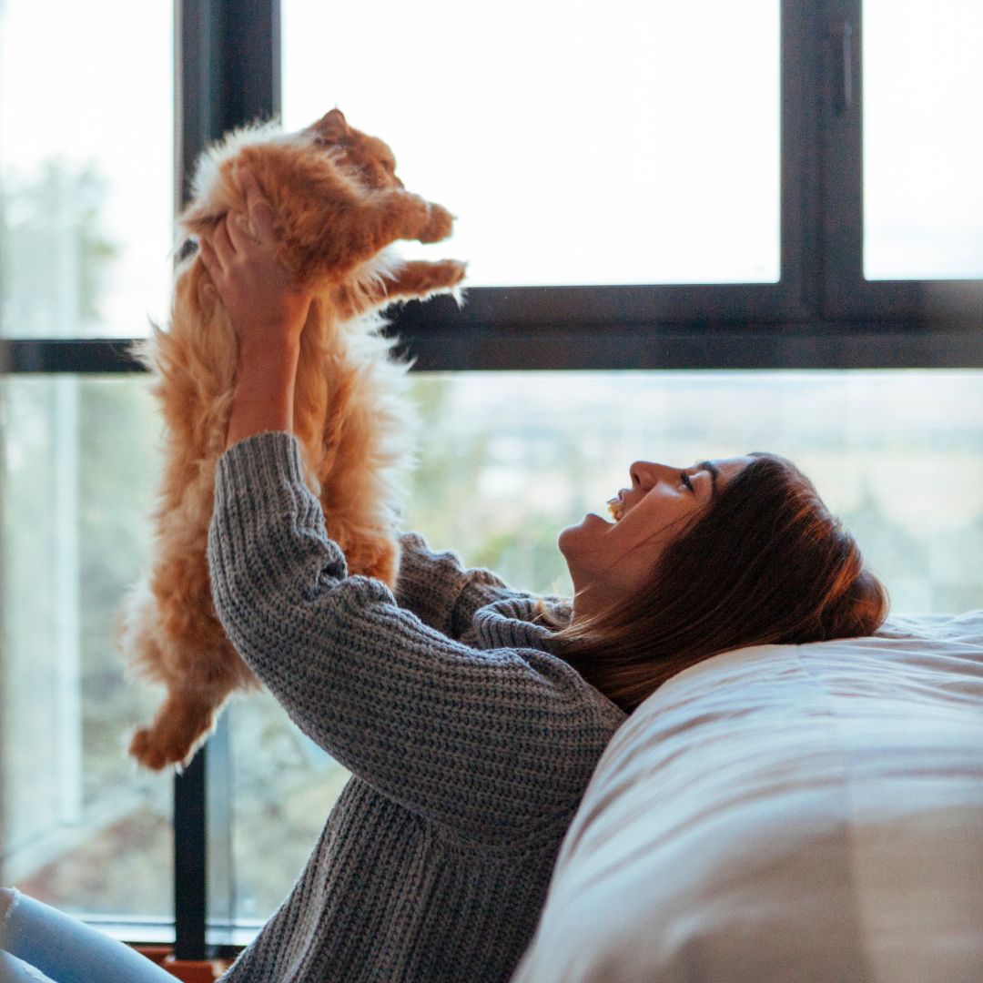 Tips for Choosing the Right Pet Sitter in Loudoun County 2