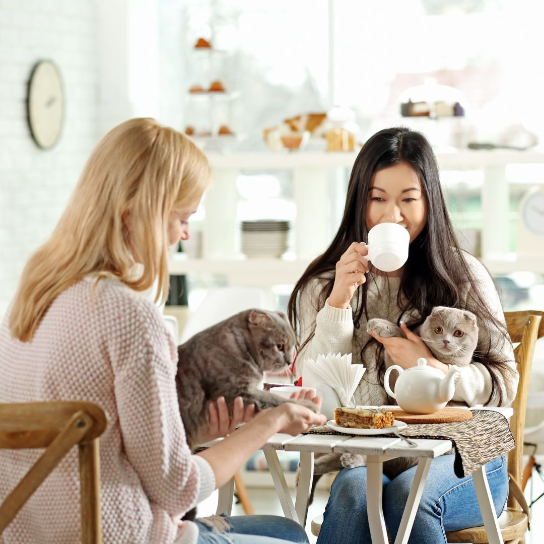 Tips for Choosing the Right Pet Sitter in S Charlotte 3