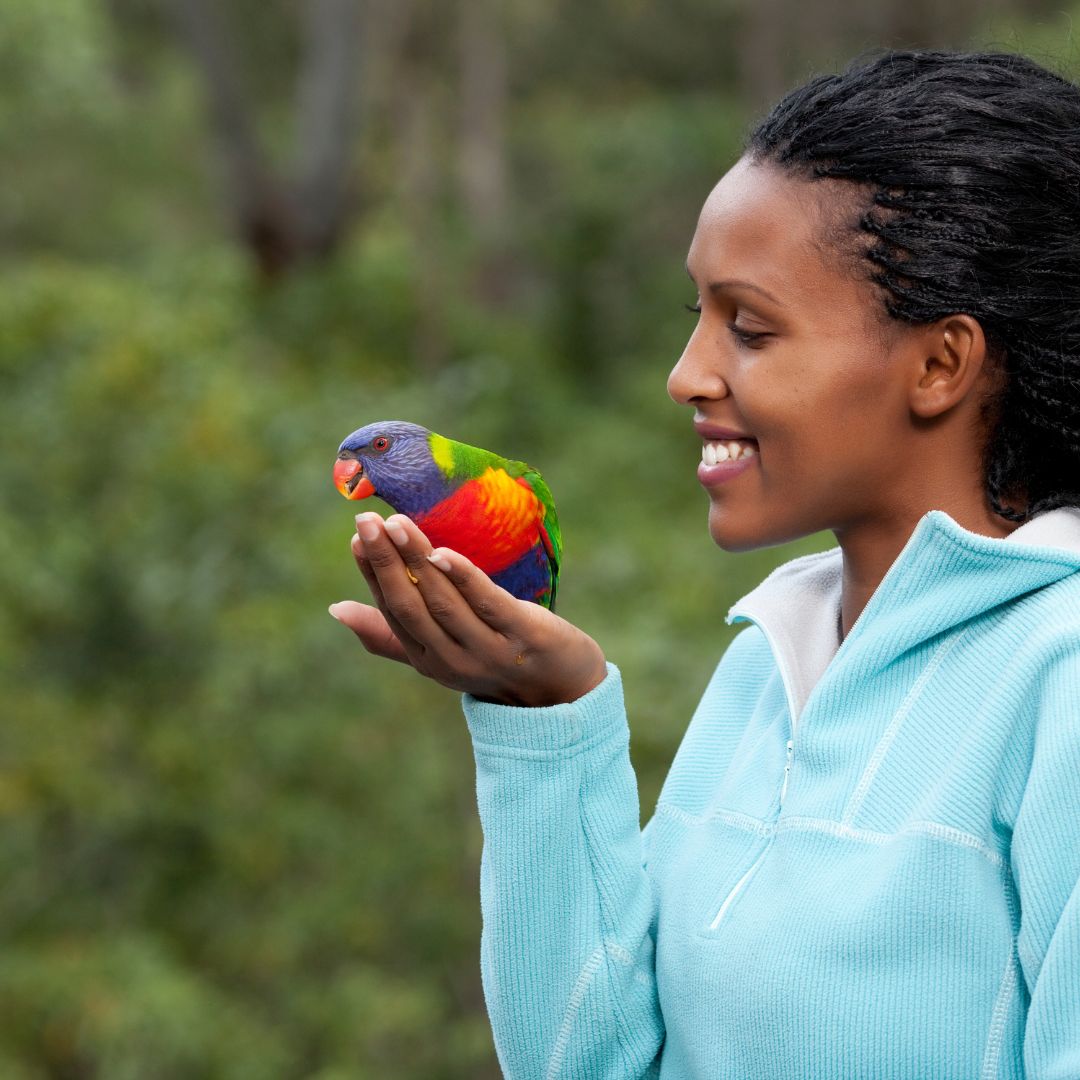woman holding colorful bird