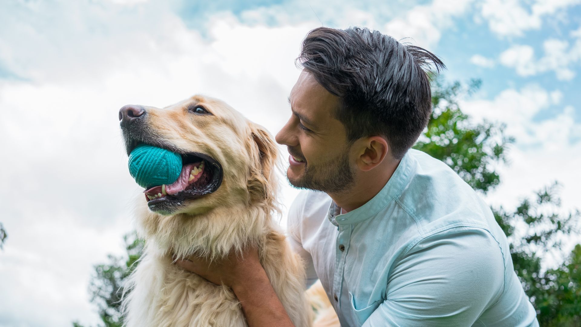 Professional Pet Care Services in Metro Detroit Fetch! Pet Care