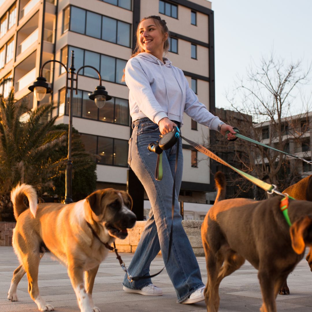 The Best Dog Walking Services in Denton, TX - Fetch! Pet Care
