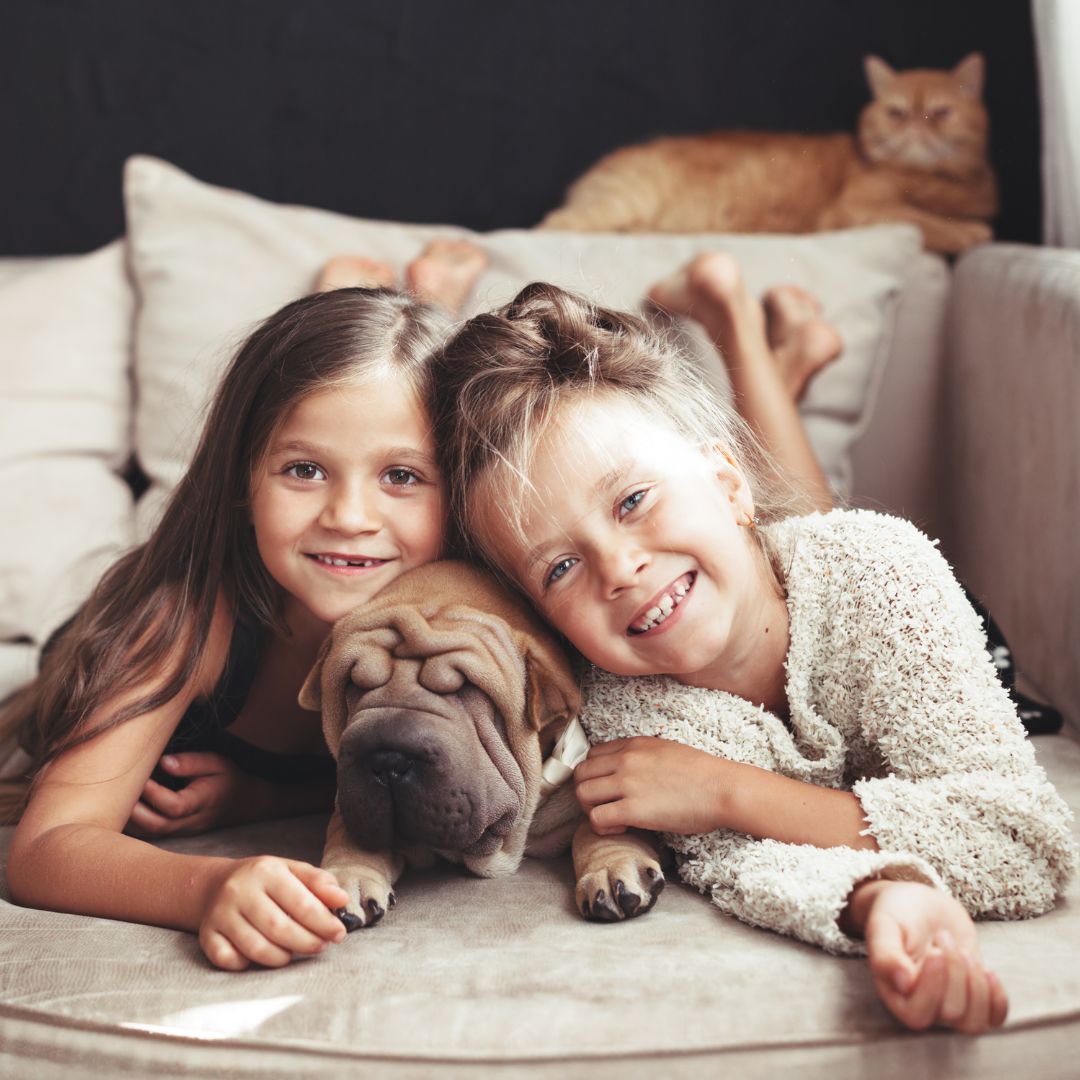 two girls laying with a dog on a couch with a cat in the background