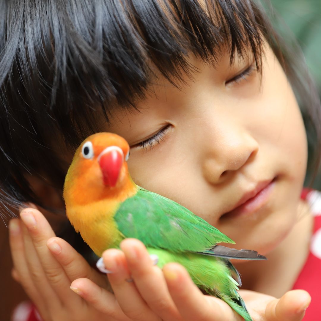 a little girl snuggling a pet bird