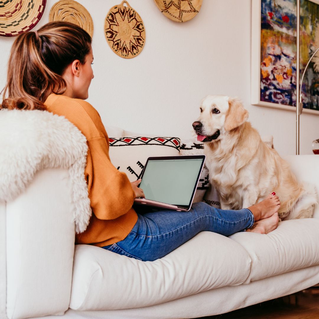a woman on her couch using a laptop while sitting with her dog