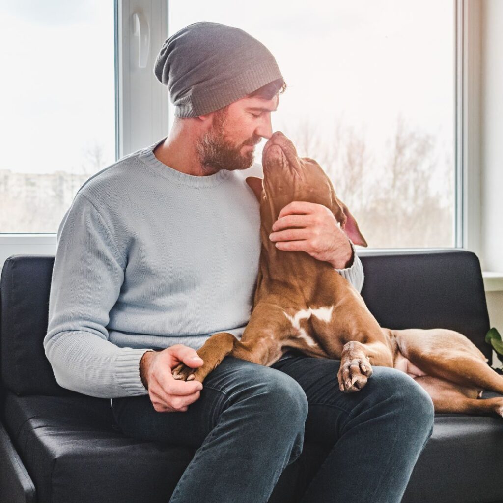 The Best Pet Sitter in Michiana Choose Fetch! Pet Care