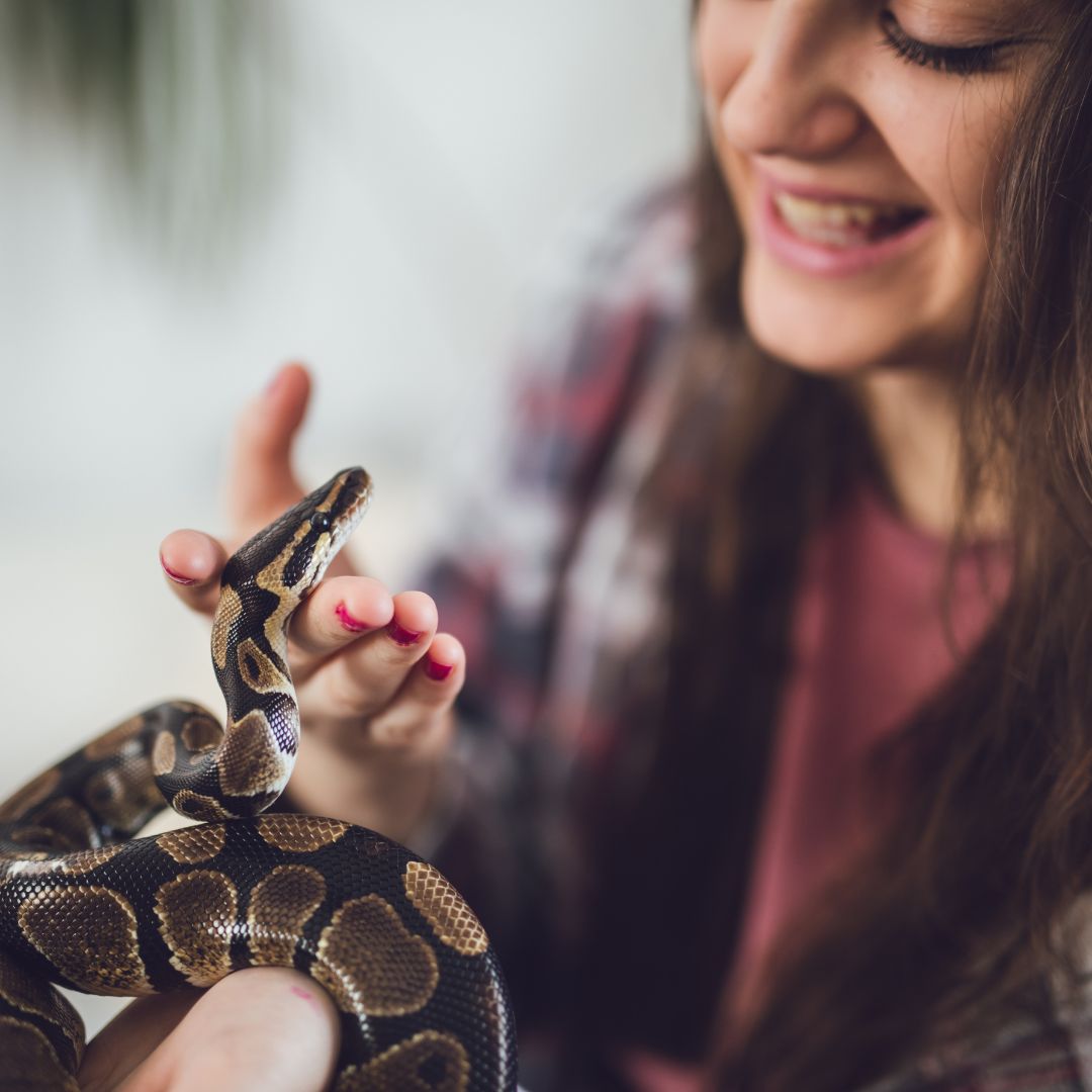 Person holding a pet snake