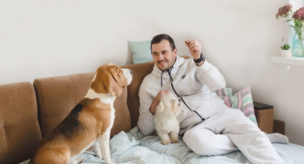 Man sitting on the couch with two dogs