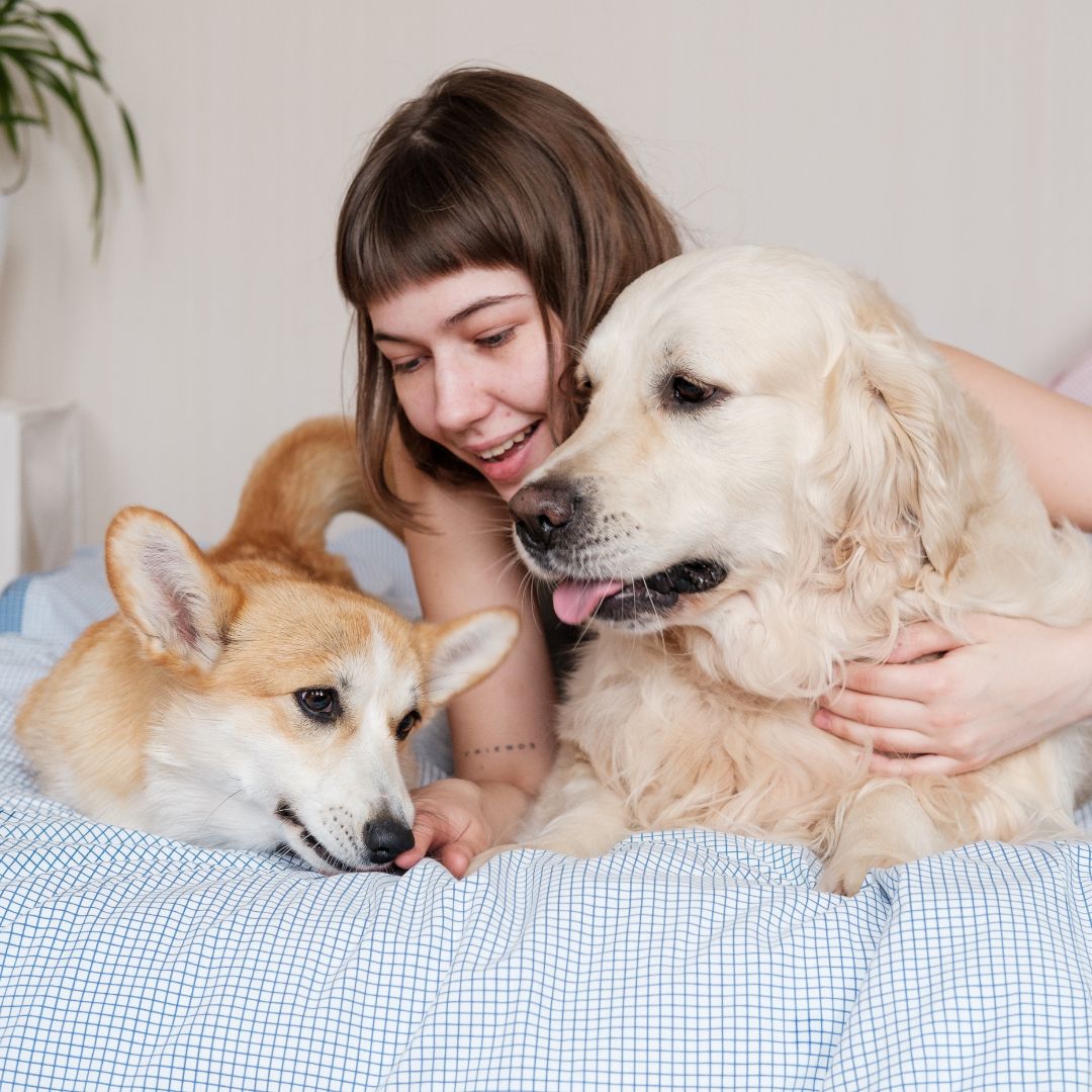 Girl hugging dogs on a bed