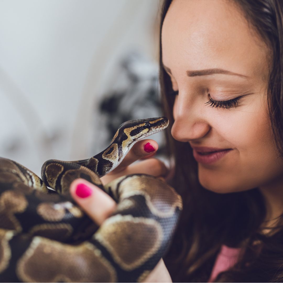 person cuddling pet snake